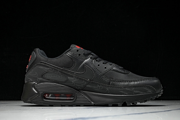 Nike Air Max 90 DZ4504 003 