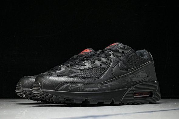 Nike Air Max 90 DZ4504 003 
