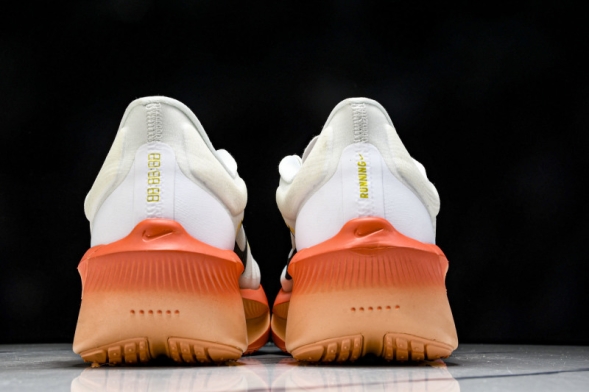 Nike Zoom Fly 6 1B6657 108 