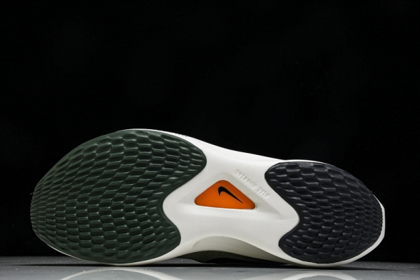 Nike Zoom Fly 5 FV3632 301 