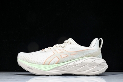 Asics Novablast 4 1012B510-250