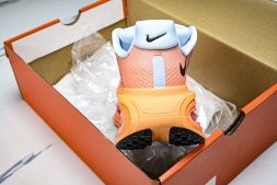 Nike Air Zoom Premium FN8453-018