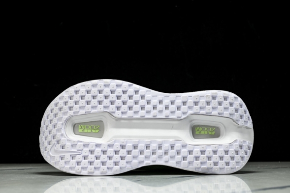 Nike Air Zoom Premium FN8453-023 