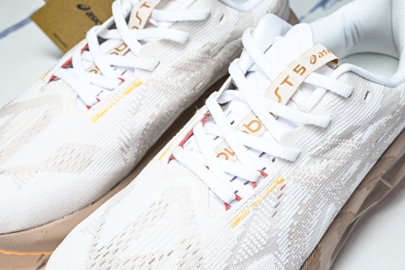 Asics Novablast 5 1012B765-102 