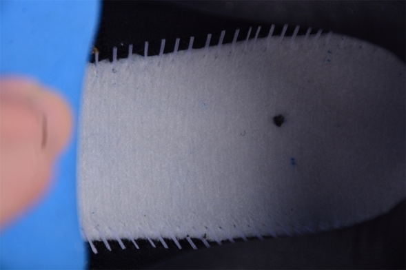 Nike Air Zoom Vomero 17 FB1309-006 