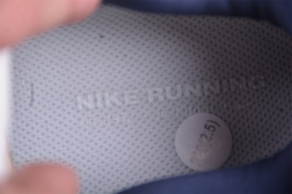 Nike Air Zoom Vomero 17 FB1309-100 