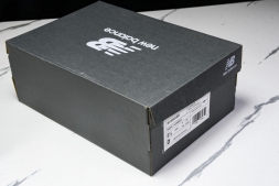 New Balance 1906 M1906RBB