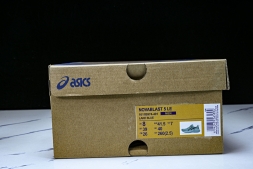 Asics Novablast 5 1011B974-401