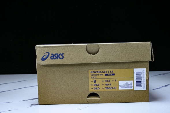 Asics Novablast 5 1011B974-100 