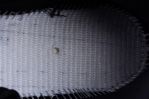 Nike Air Jordan 12 Retro Royoffs CT8013-006 