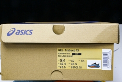 Asics Gel-Trabuco 13 1011B973-400