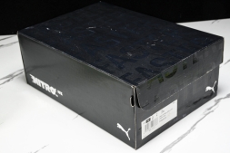 Puma FAST-R Nitro Elite 2 310692-01