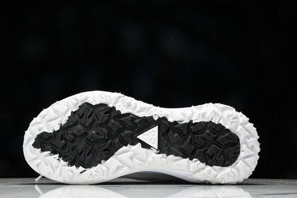 Nike ACG Mountain Fly 2 Low SP FZ3311 100 