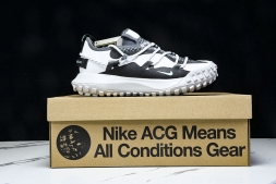 Nike ACG Mountain Fly Low GTX SE D09334 100