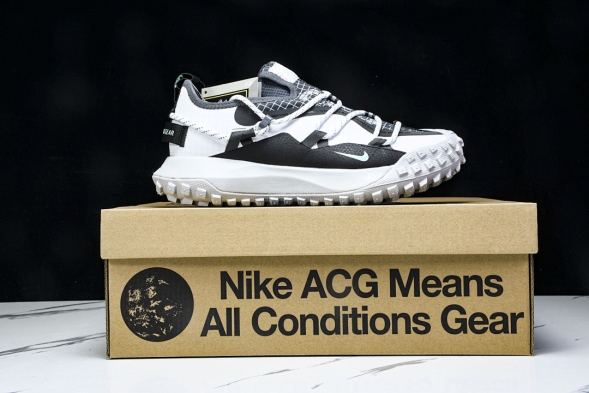 Nike ACG Mountain Fly Low GTX SE D09334 100 