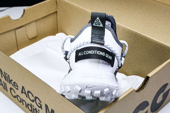 Nike ACG Mountain Fly Low GTX SE D09334 100 