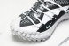 Nike ACG Mountain Fly Low GTX SE D09334 100 