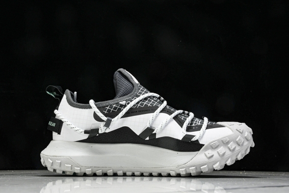 Nike ACG Mountain Fly Low GTX SE D09334 100 