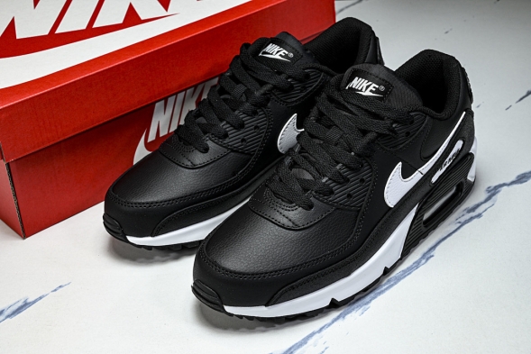 Nike Air Max 90 CD6864-029 